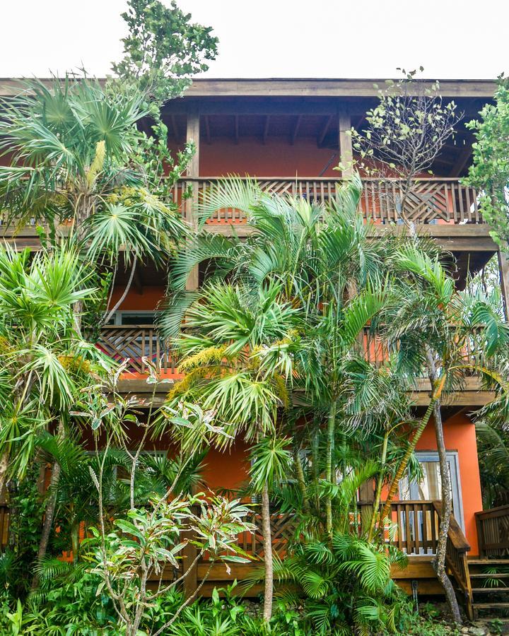 Hotel Posada Las Orquideas,West End Eksteriør bilde